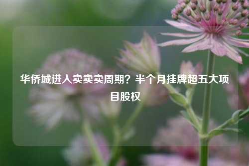 华侨城进入卖卖卖周期？半个月挂牌超五大项目股权