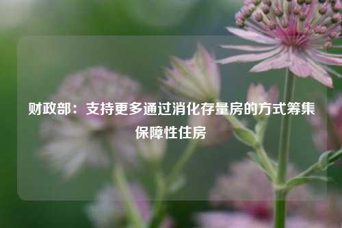 财政部：支持更多通过消化存量房的方式筹集保障性住房