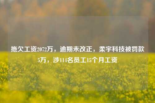 拖欠工资2072万，逾期未改正，柔宇科技被罚款5万，涉114名员工15个月工资