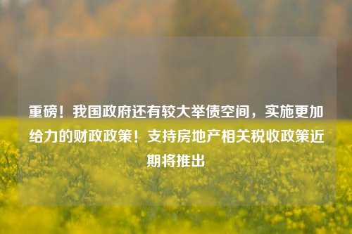 重磅！我国政府还有较大举债空间，实施更加给力的财政政策！支持房地产相关税收政策近期将推出