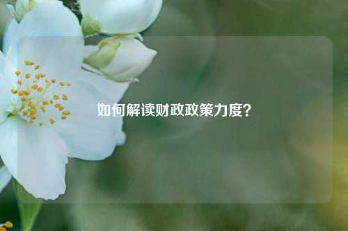 如何解读财政政策力度？