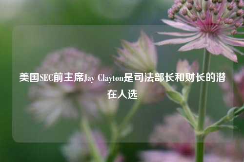 美国SEC前主席Jay Clayton是司法部长和财长的潜在人选