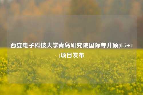 西安电子科技大学青岛研究院国际专升硕(0.5+1)项目发布