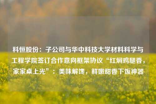 科恒股份：子公司与华中科技大学材料科学与工程学院签订合作意向框架协议“红焖鸡腿香，家家桌上光”：美味解馋，鲜嫩甜香下饭神器