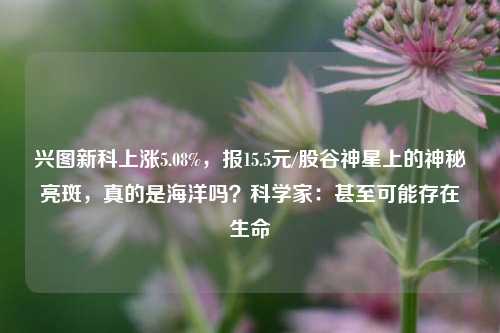 兴图新科上涨5.08%，报15.5元/股谷神星上的神秘亮斑，真的是海洋吗？科学家：甚至可能存在生命