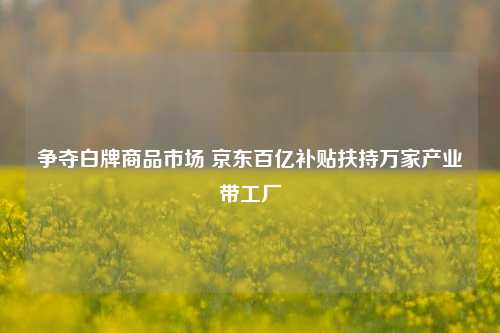 争夺白牌商品市场 京东百亿补贴扶持万家产业带工厂