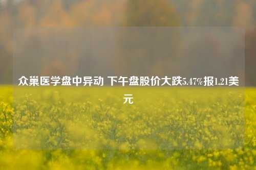 众巢医学盘中异动 下午盘股价大跌5.47%报1.21美元