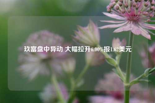 玖富盘中异动 大幅拉升6.00%报1.62美元