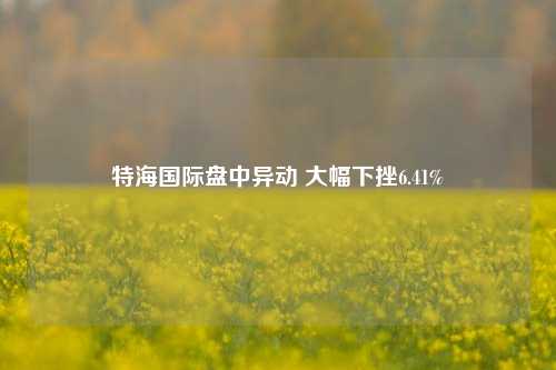 特海国际盘中异动 大幅下挫6.41%