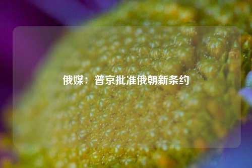 网站开发 第26页