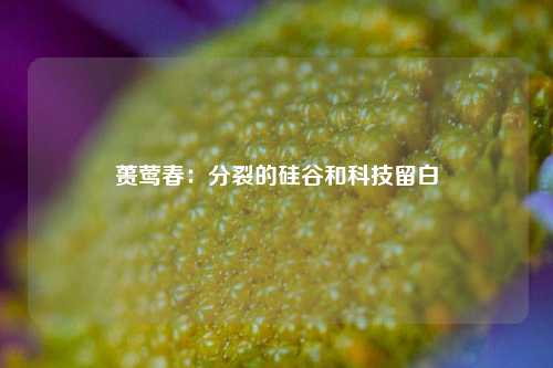 蒉莺春：分裂的硅谷和科技留白