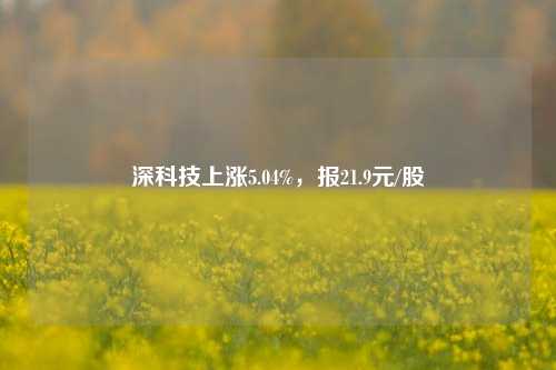 深科技上涨5.04%，报21.9元/股