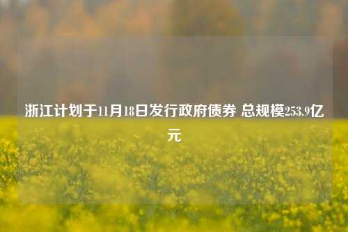 浙江计划于11月18日发行政府债券 总规模253.9亿元