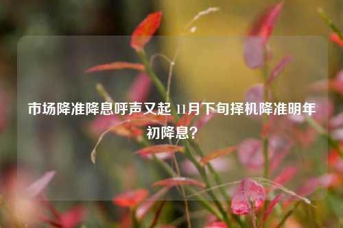 市场降准降息呼声又起 11月下旬择机降准明年初降息？