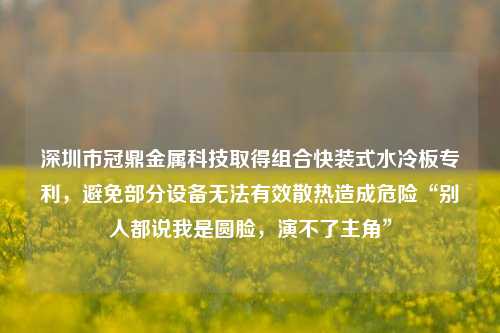 深圳市冠鼎金属科技取得组合快装式水冷板专利，避免部分设备无法有效散热造成危险“别人都说我是圆脸，演不了主角”