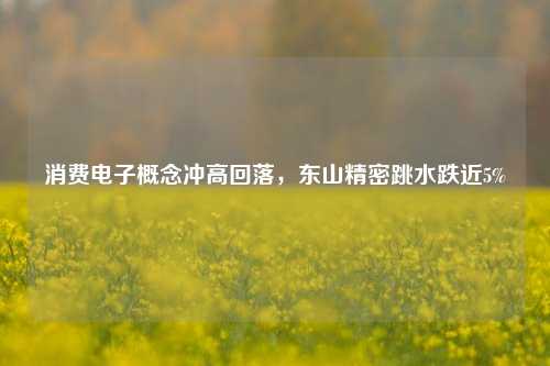 消费电子概念冲高回落，东山精密跳水跌近5%