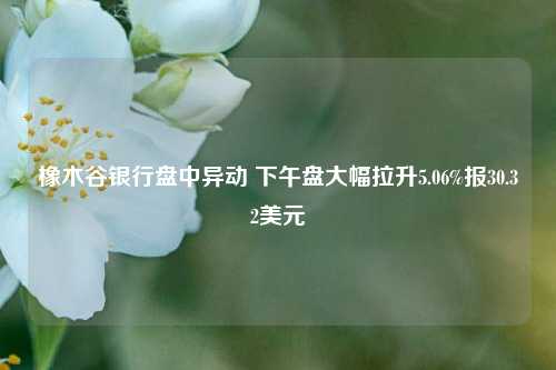 橡木谷银行盘中异动 下午盘大幅拉升5.06%报30.32美元