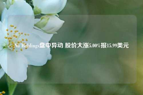 Nu Holdings盘中异动 股价大涨5.00%报15.99美元