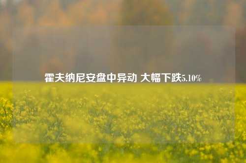 霍夫纳尼安盘中异动 大幅下跌5.10%