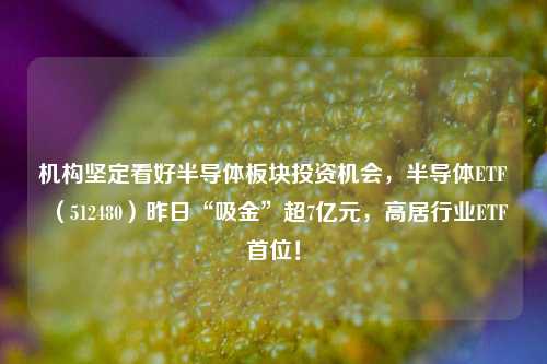 机构坚定看好半导体板块投资机会，半导体ETF（512480）昨日“吸金”超7亿元，高居行业ETF首位！