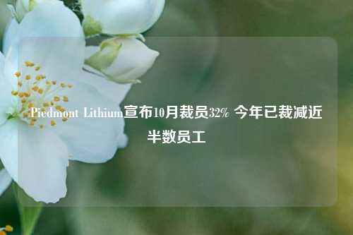 Piedmont Lithium宣布10月裁员32% 今年已裁减近半数员工