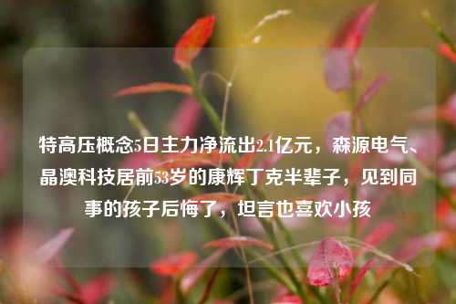 特高压概念5日主力净流出2.1亿元，森源电气、晶澳科技居前53岁的康辉丁克半辈子，见到同事的孩子后悔了，坦言也喜欢小孩