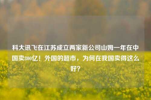 科大讯飞在江苏成立两家新公司山姆一年在中国卖800亿！外国的超市，为何在我国卖得这么好？