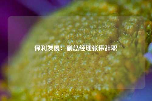 保利发展：副总经理张伟辞职