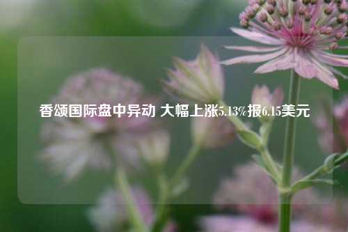 香颂国际盘中异动 大幅上涨5.13%报6.15美元