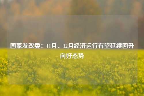 国家发改委：11月、12月经济运行有望延续回升向好态势