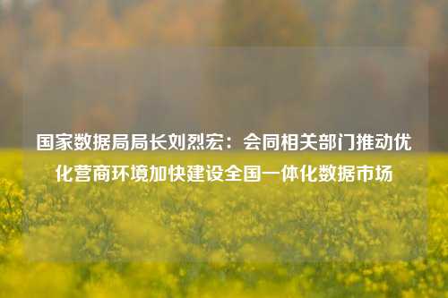 国家数据局局长刘烈宏：会同相关部门推动优化营商环境加快建设全国一体化数据市场