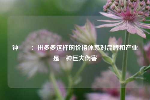 钟睒睒：拼多多这样的价格体系对品牌和产业是一种巨大伤害